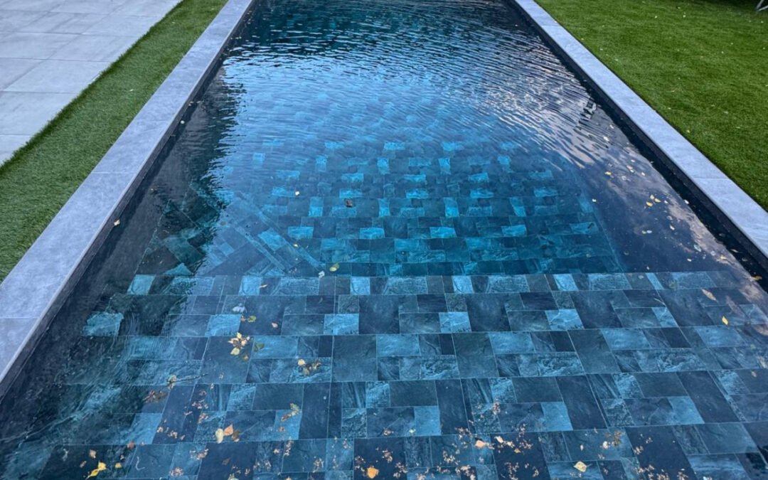 Spas & Piscines